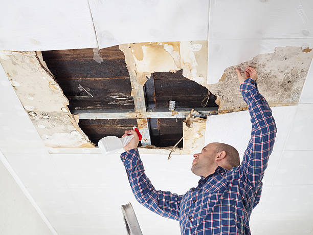 Reliable Winton, CA Mold Removal Solutions